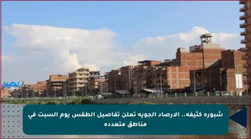 شبورة كثيفة.. الأرصاد الجوية تعلن تفاصيل الطقس يوم السبت في مناطق متعددة